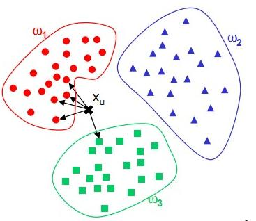 image-20240503155713010