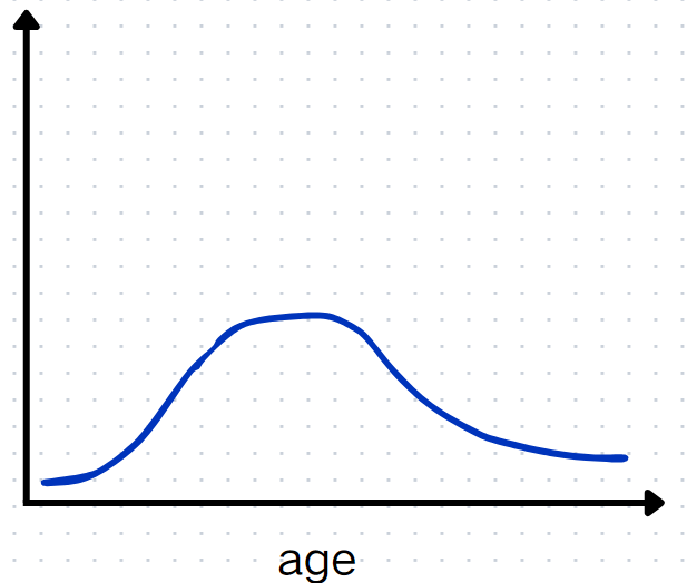 image-20240503173004374